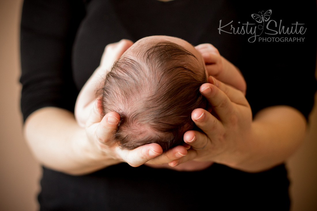 Kristy Shute Kitchener Newborn Photography Baby in Hands