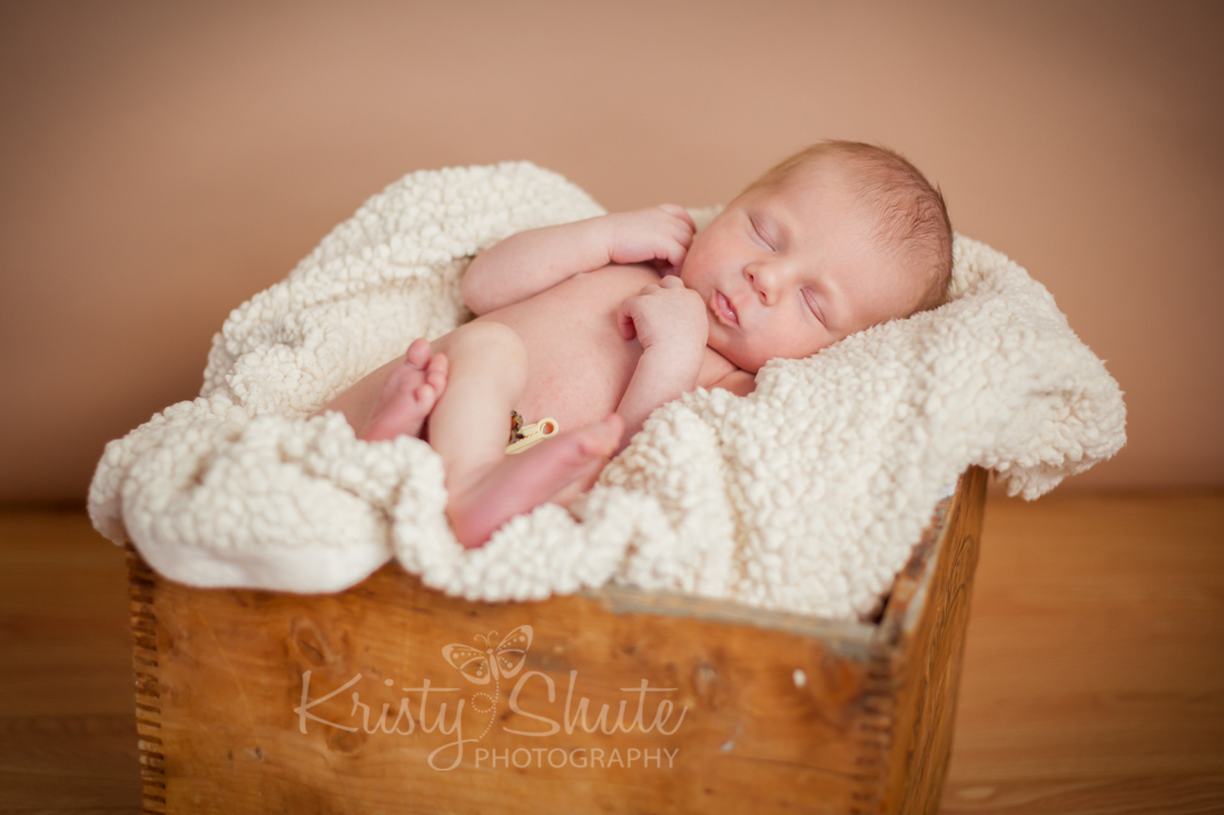 Kristy Shute Photography Kitchener Newborn Boy