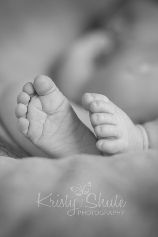 Kristy Shute Photography Newborn Boy Kitchener Feet