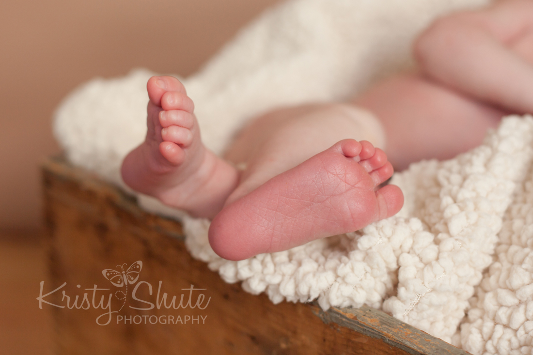 Kristy Shute Photography Kitchener Newborn Boy feet