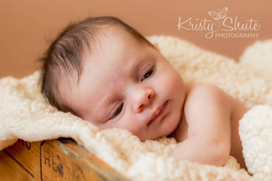 Kristy Shute Kitchener Newborn Photography
