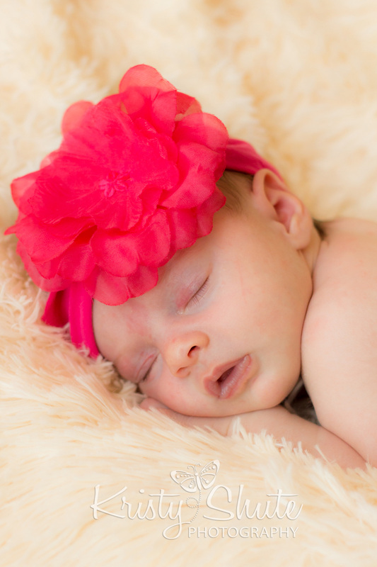 Kristy Shute Kitchener Newborn Photography Sleeping