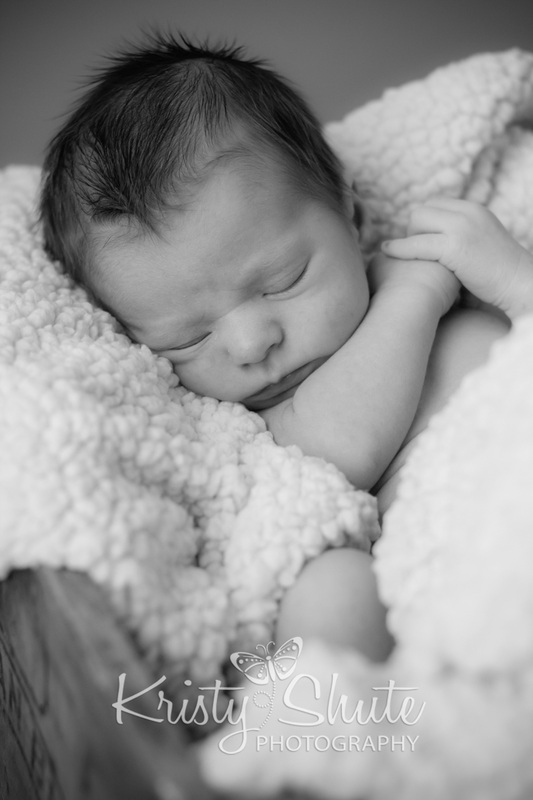 Kitchener Newborn Photography Kristy Shute Baby Boy Sleeping crate
