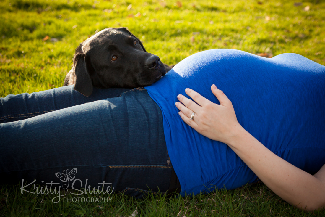 Kristy Shute Photography Maternity Session Waterloo Park with dog