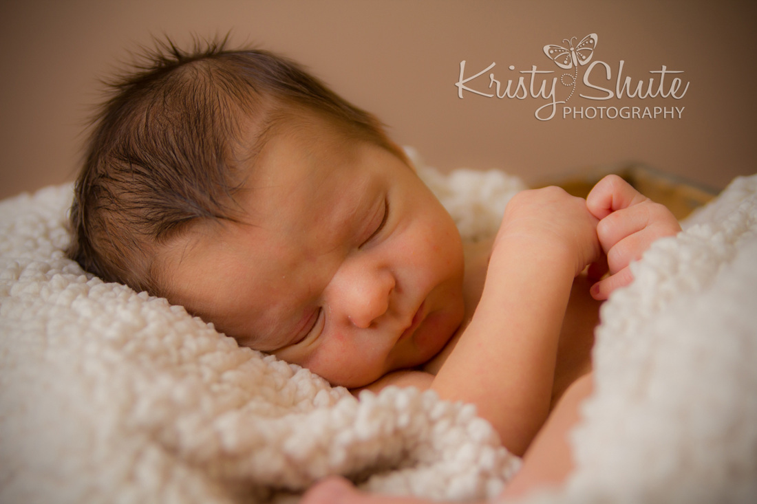 Kitchener Newborn Photography Kristy Shute Baby Boy Sleeping