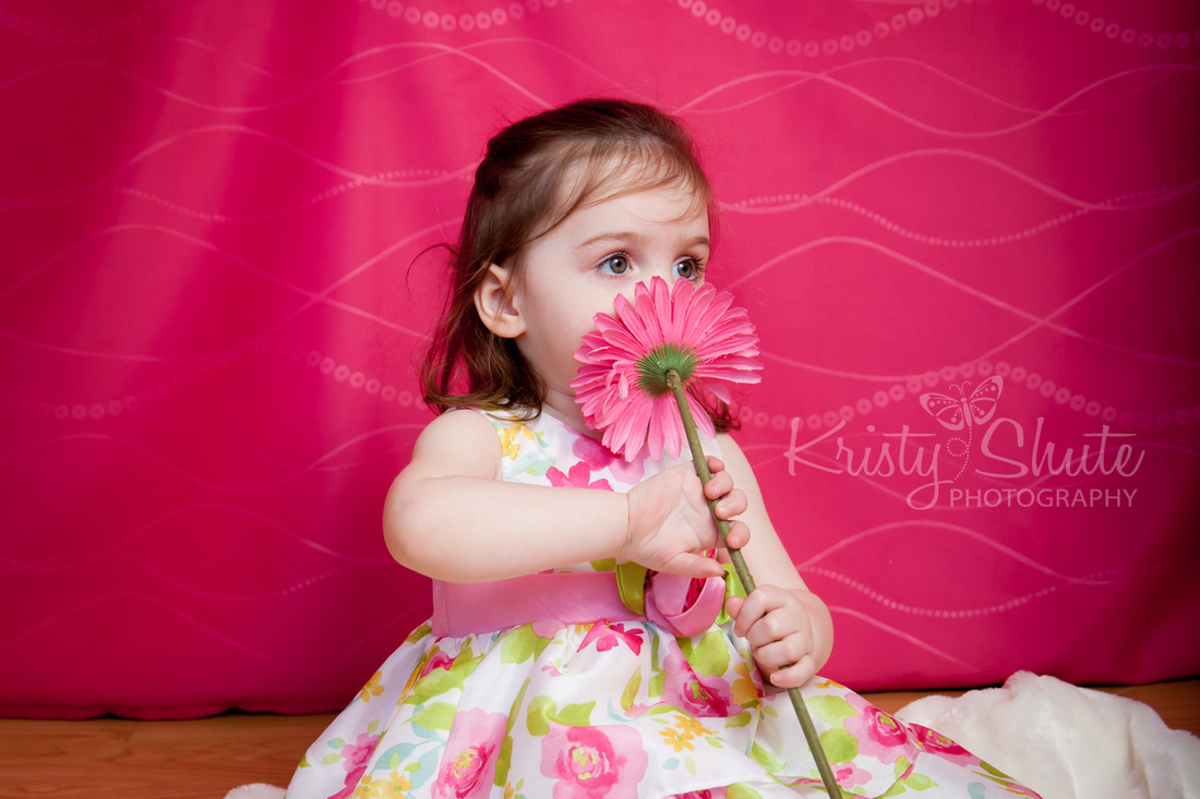 Kristy Shute Photography, Kitchener, Ontario, Child Studio Photography, 2 years old