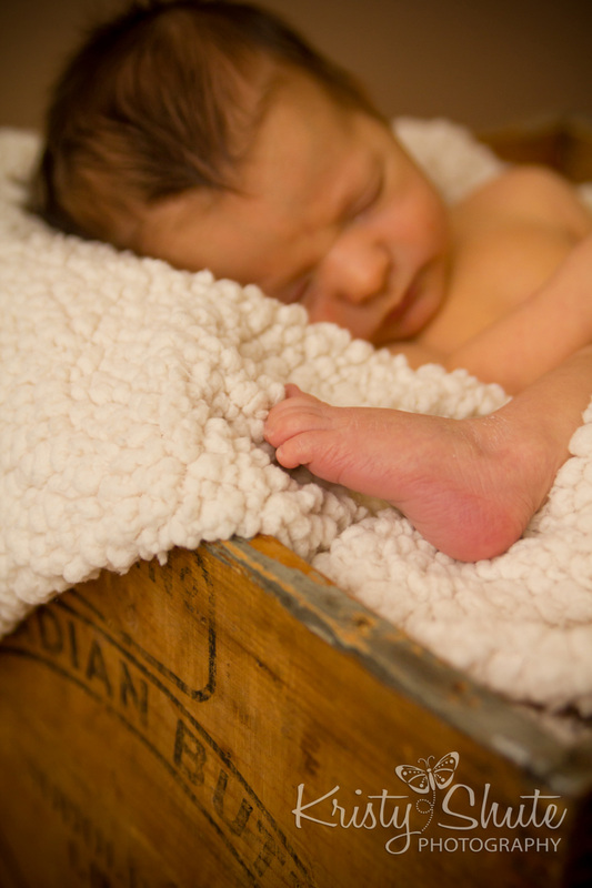 Kitchener Newborn Photography Kristy Shute Baby Boy Sleeping Crate Foot