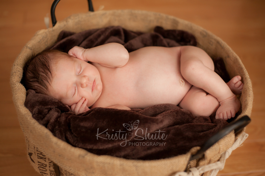 Kristy Shute Photography Newborn Boy Kitchener Basket